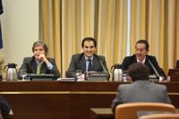 Interior cierra sin reproches la revisión del operativo de los falsos yihadistas de Navidad