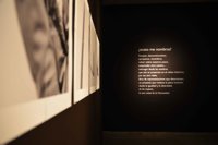 Altamira abre su primera muestra de fotos sobre bienes arqueológicos de la cueva