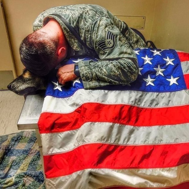 Un soldado llora la muerte de su perro compañero en las fuerzas aéreas
