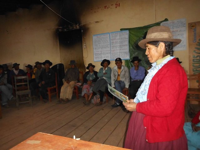 Dona camperola al Perú