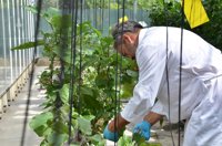 La UPV, entre las 100 mejores universidades en Agricultura y Ciencias Forestales
