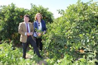 Andalucía valora la unión de agricultores, ecologistas y distribución para producir cítricos sostenibles