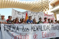 El 80% del alumnado andaluz de Secundaria secunda la huelga contra la LOMCE y los recortes