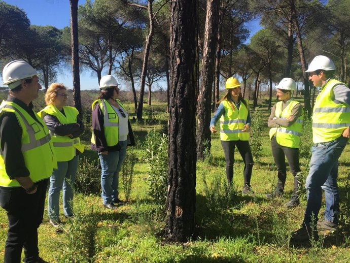 Trabajos de reforestación en Aljaraque. 