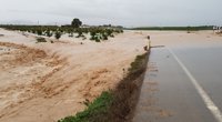 Lorca anima a los agricultores afectados por los temporales a beneficiarse de las ayudas estatales