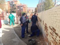 Las Juntas de Puente y Villa de Vallecas abren una convocatoria de empleo público para 75 parados