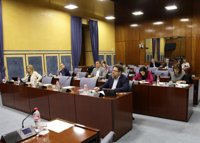 PP-A avisa de "irregularidades" en el centro Della Robbia de Gelves y señala la "responsabilidad" de Susana Díaz