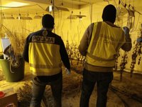 Nueve detenidos con 37 kilos de marihuana  en Salamanca