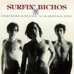 SURFIN BICHOS