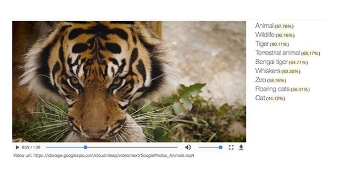 Google Deep Learning