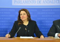 PP-A exige a Durán que aclare "si ha ocultado a la comisión de investigación más escritos como el de Montes"