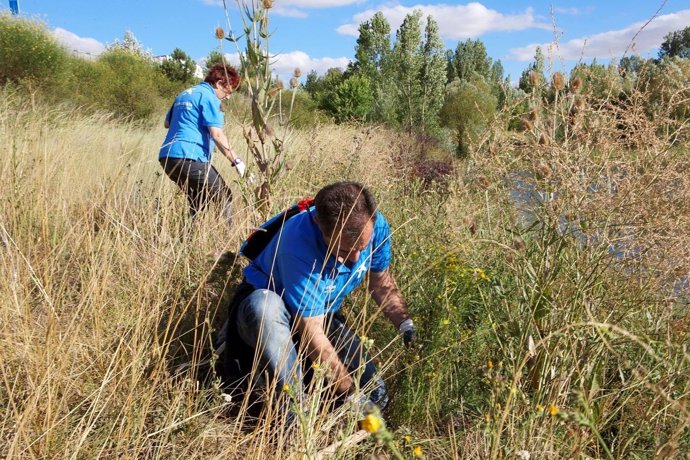 Voluntariat en medi ambient. Els nostres voluntaris participen activament en la 