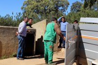 Diputación atiende a 28 solicitudes de ganaderos de la provincia con la entrega de 76 reproductores porcinos