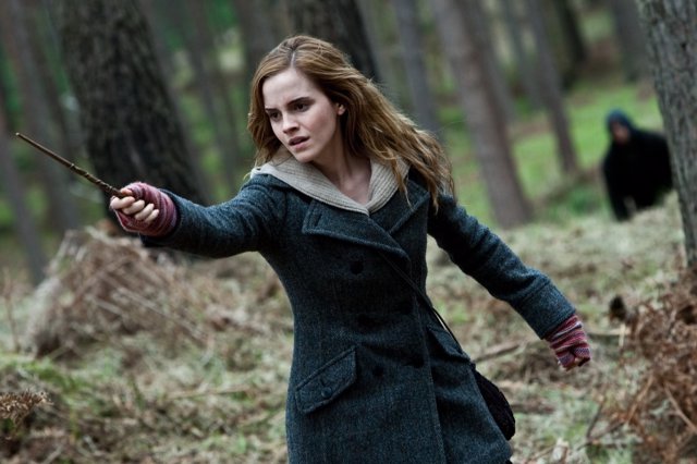 Hermione Granger, Harry Potter