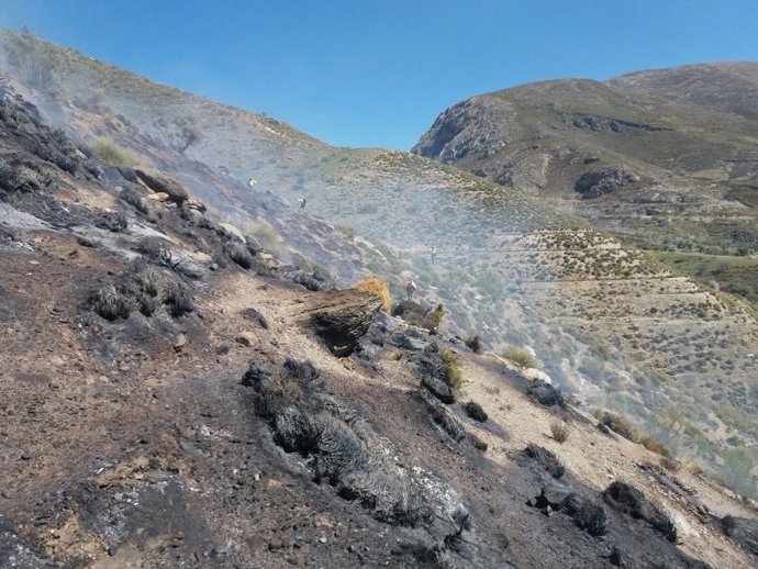 Incendio en Güéjar-Sierra (Granada)