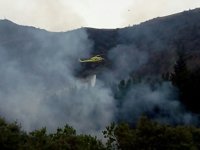 Siguen activos unos 40 incendios forestales en varias zonas de Cantabria