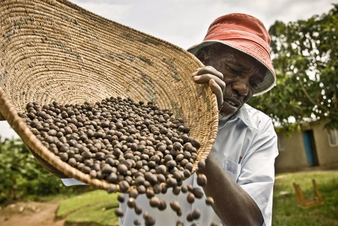 Agricultor africano