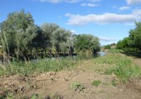 Los centros educativos impartirán talleres sobre el bosque de ribera de la Región hasta 2019