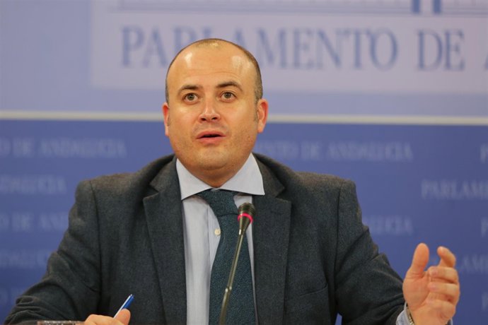 El presidente de la comisión de investigación sobre la formación, Julio Díaz