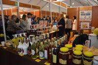 Más de 30.000 personas visitan la Feria Apícola de Pastrana