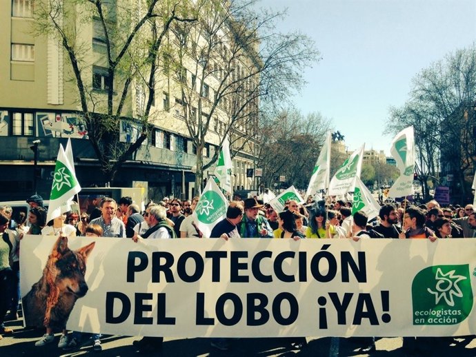 Manifestación en favor del lobo ibérico