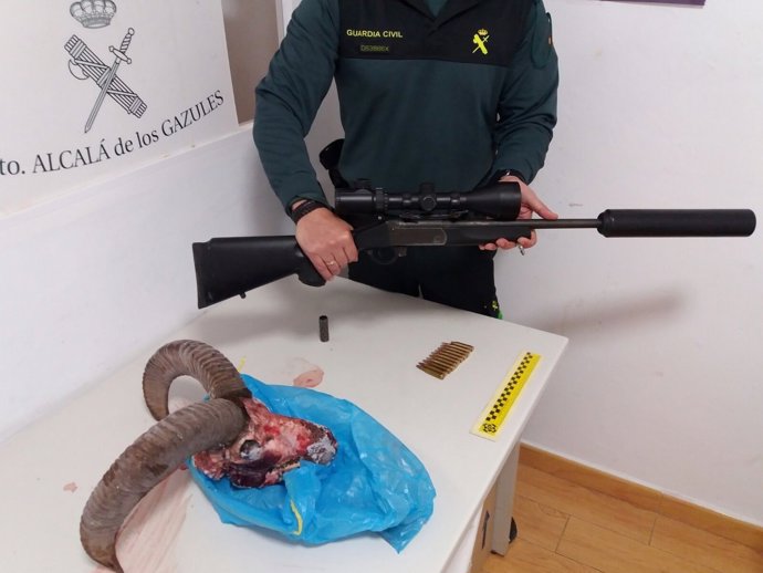 Arma y cabeza de muflón incautada en Alcalá de los Gazules