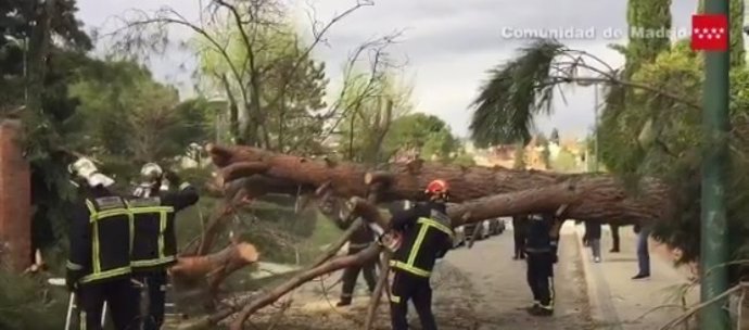 Vídeo de la noticia