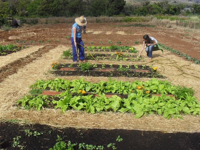 Agricultores