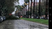 Las fuertes lluvias provocan la caída de varios árboles, uno de ellos en la Circular, y desprendimientos