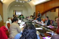 El Consejo Extremeño de Participación de las Mujeres aboga por "mejorar" las políticas públicas de igualdad