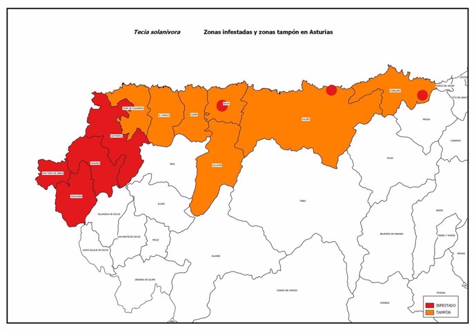 Dispersión de la polilla guatemalteca en Asturias