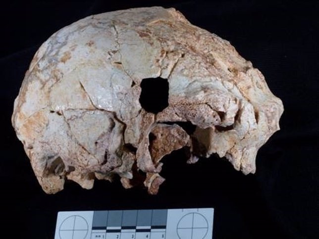 Hallan un cráneo humano fósil de 400.000 años de antigüedad, el más antiguo enco