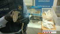 Hallan reptiles sin documentación al accidentarse un coche que llevaba ratas para alimentarlos
