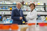 Descubierta una nueva enfermedad hepática causada por una mutación genética