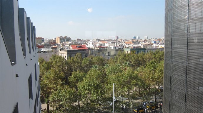 Raval