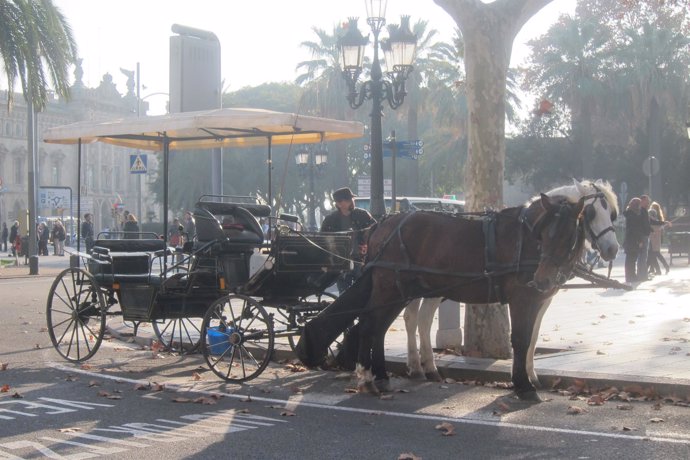 Carruaje de caballos en Barcelona