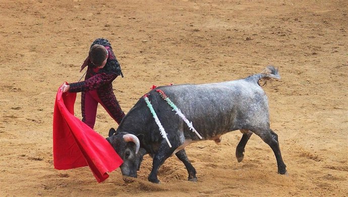 Espectáculo taurino en San Fernando