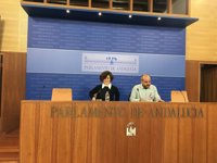 Podemos: Susana Díaz renuncia al impuesto de sucesiones "acorralada por sus errores" y "traiciona" el espíritu del 28F