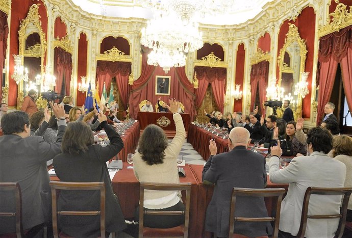 Pleno en la Diputación de Cádiz