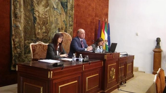 Presidencia del Pleno de la Diputación