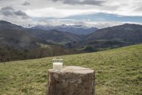 Central Lechera Asturiana centra su estrategia en hacer productos 100% naturales