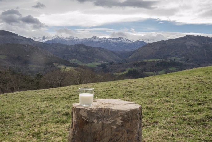 Central Lechera Asturiana