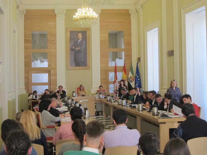 Pleno del Ayuntamiento de Cáceres del mes de marzo