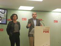 PSOE dice que el de Mijas es "un caso de mafiosos políticos y traidores" y que el crédito de Bendodo "está agotado"