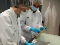 Las identificaciones de la fosa de Porreres estarán terminadas en otoño