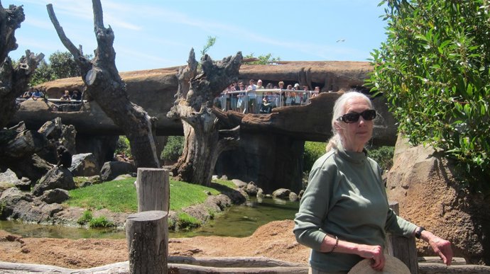 Jane Goodall