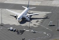 La Policía de Nueva Zelanda dispara a un perro por retrasar los vuelos en el aeropuerto de Auckland