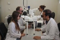 Hospital Santa Lucía lidera un proyecto para analizar la capacidad antitumoral de nuevos fármacos con respaldo europeo