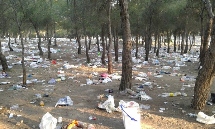 Estado de los Pinares de Venecia de Zaragoza tras la celebración de 'San Pepe'