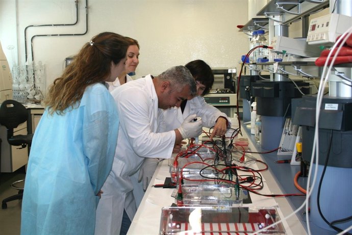 El área de brucelosis del CITA es referente internacional en esta patología